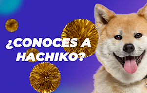¿conoces a Hachiko?